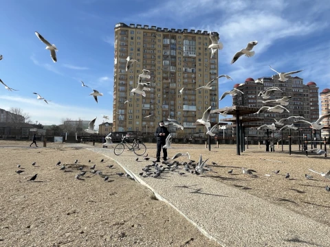 Прибой 05
